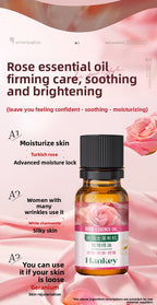 Organic Rose Essential Oil